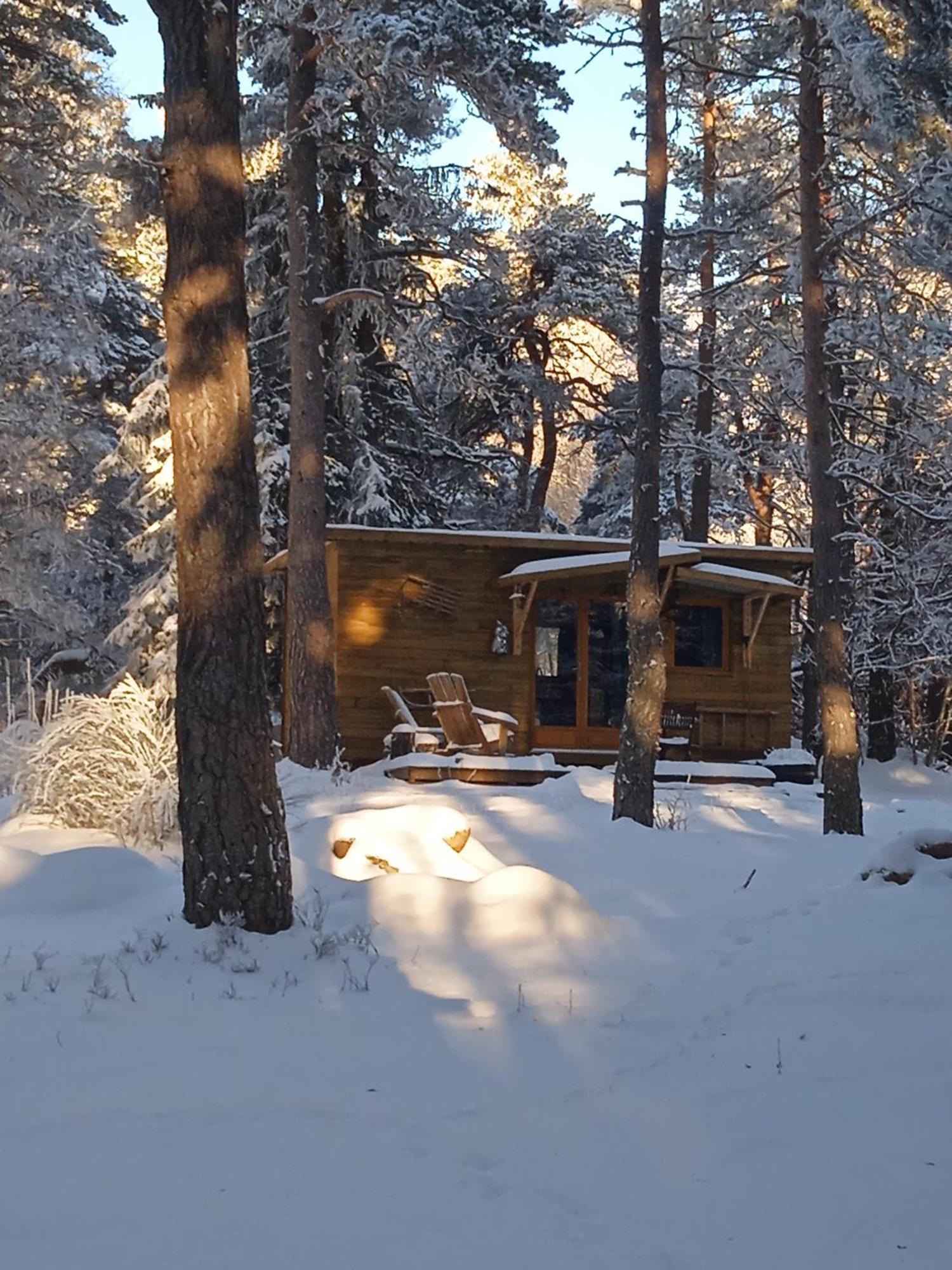 Chalet Hibou 1 Couchage En 140 Domaine De La Mamounette Champclause Exterior foto