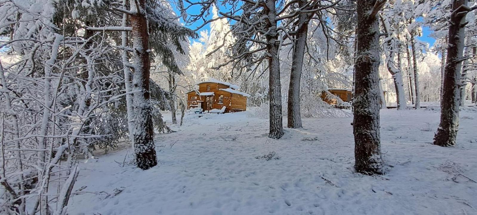 Chalet Hibou 1 Couchage En 140 Domaine De La Mamounette Champclause Exterior foto